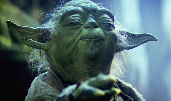 Star-Wars-Has-Yoda-s-past-finally-been-revealed-993660.jpg