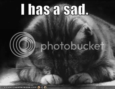 funny_pictures_sad_cat_blackandwhit.jpg