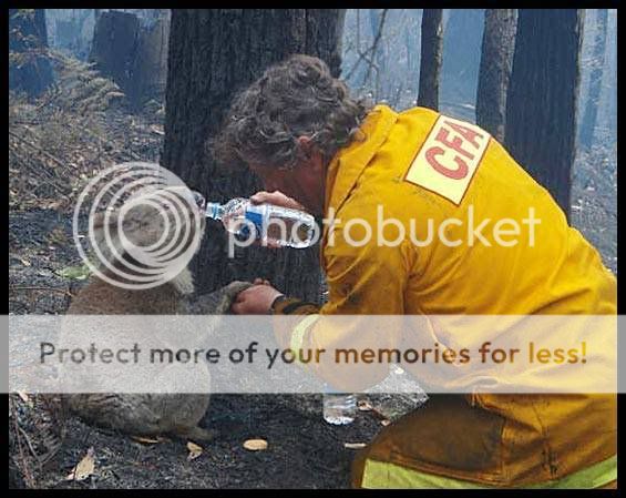 VicFires4.jpg