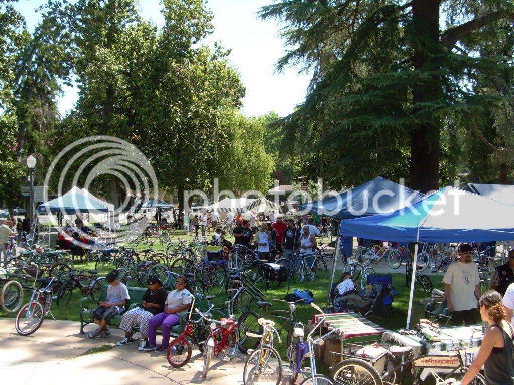Cyclefest2010005.jpg