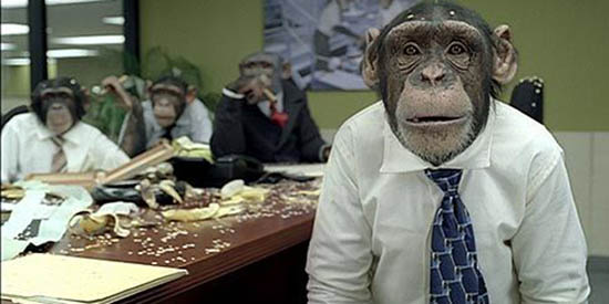 Monkey_Office_1A.jpg