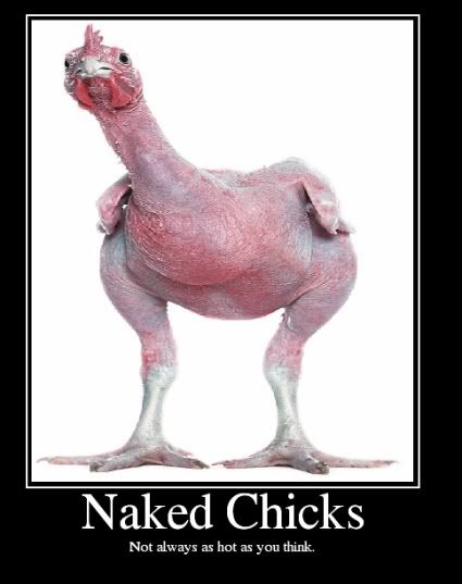 NakedChicks.jpg