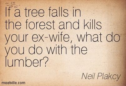 if-a-tree-falls-in-the-forest-and-kills-your-ex-wife-what-do-you-do-with-the-lumber-neil-plakcy.jpg