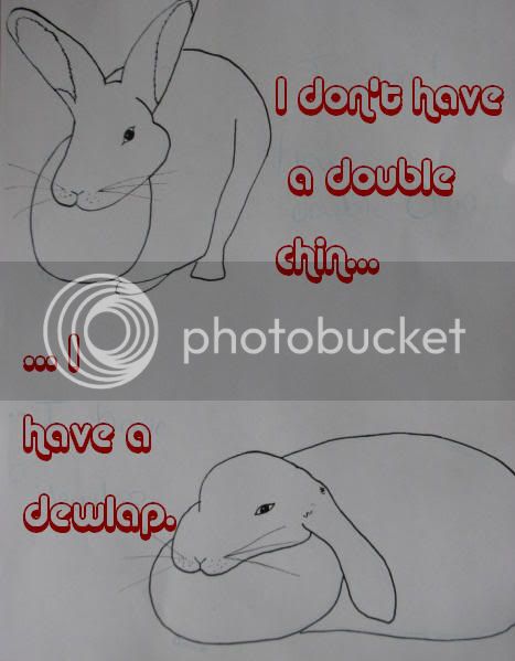 dewlap.jpg