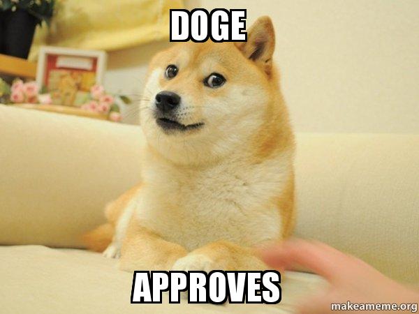 doge-approves-g5abfx.jpg