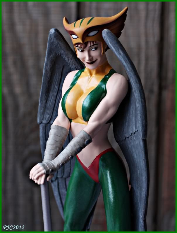 Hawkgirl8.jpg