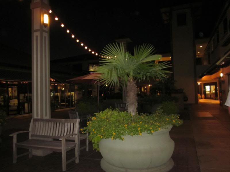 EOM_HiltonHead2011311.jpg