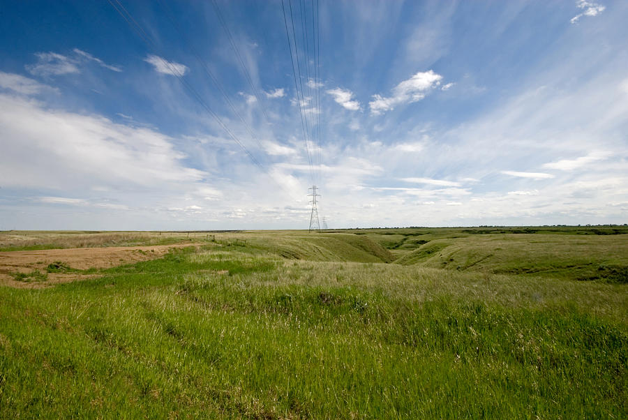 prairie-landscape-mary-lane.jpg