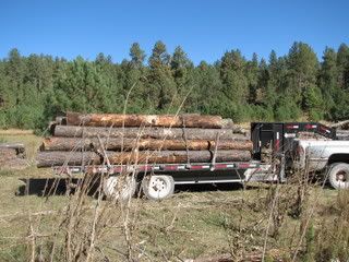 HaulingLogs003.jpg