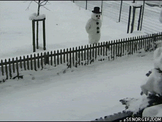 Funny-GIF-Snowman.gif