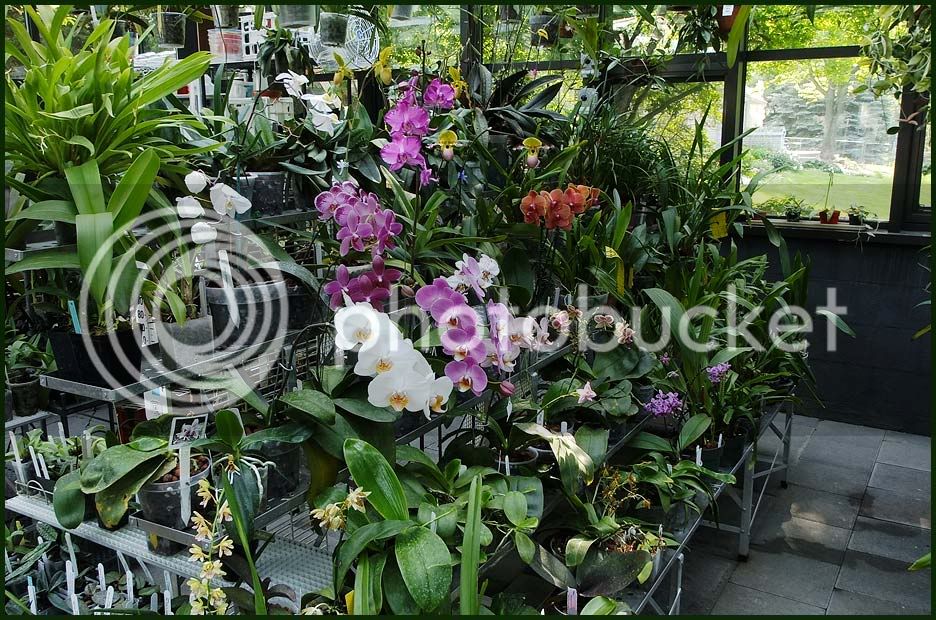 Phal-aisle.jpg