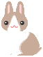 cutebun2.gif