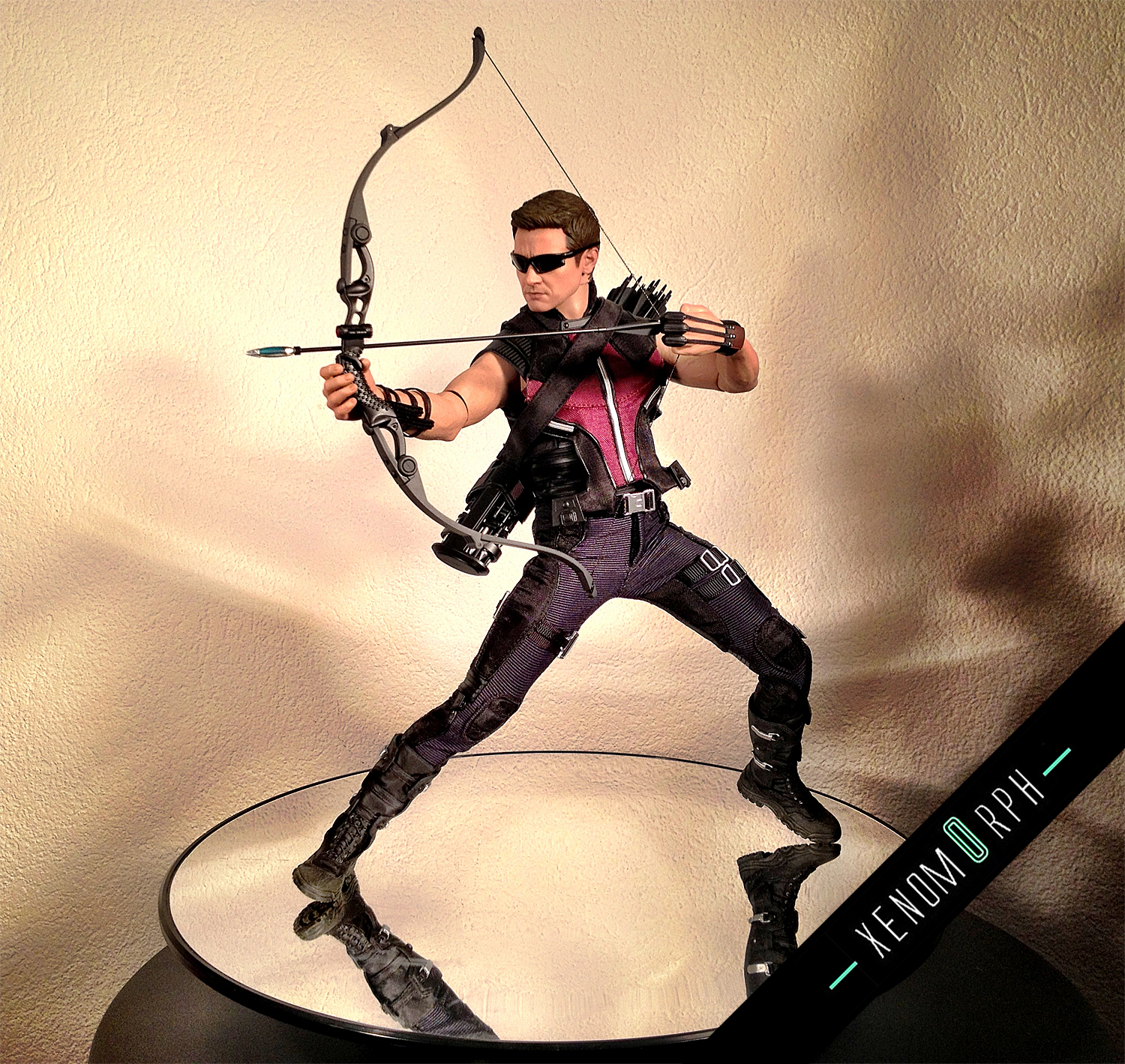 hawkeye1.jpg