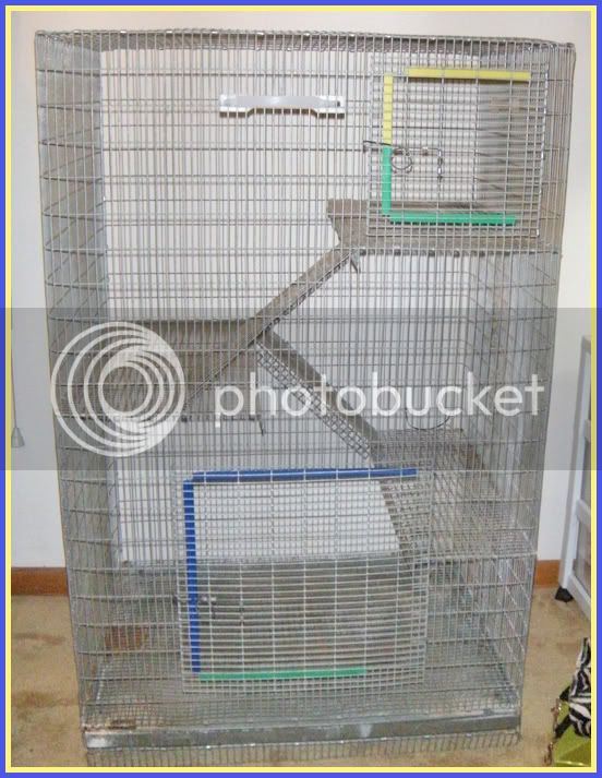 cage-1.jpg
