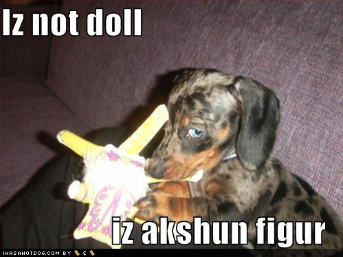 funny-dog-pictures-not-doll-action-figure.jpg