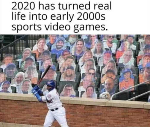 2020-turned-life-into-early-2000s-video-games-cardboard-fans-baseball.jpg