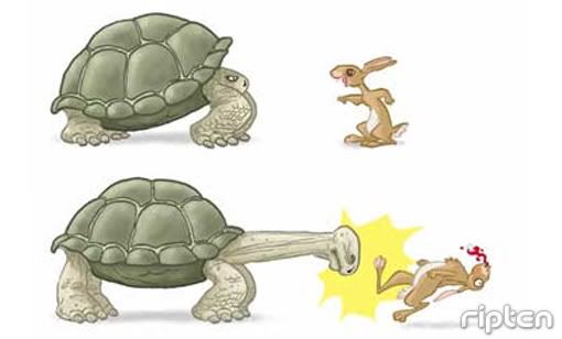 tortoise-beats-hare.jpg