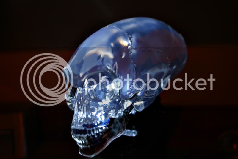 skull2.jpg