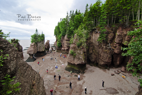 hopewell-rocks-flower-pots-new-brunswick-canada-pictures-photos_med.jpg