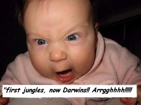 junglesdarwins.jpg