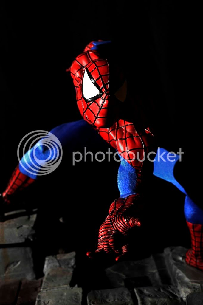 SPIDEY8.jpg