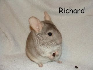 Richard1.jpg