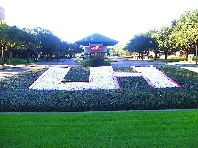800px-University_of_Houston_shrubs.jpg