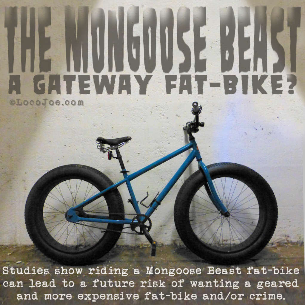 beast_gateway_fatbike.jpg