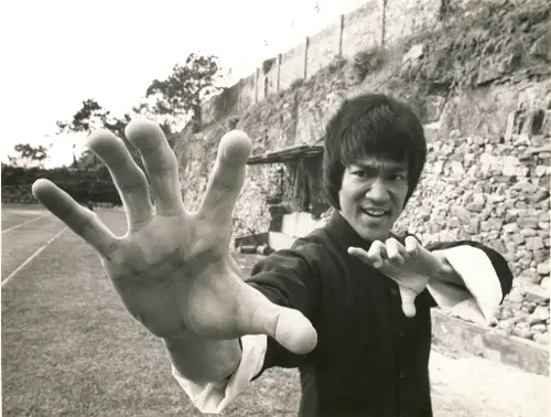 brucelee34.jpg