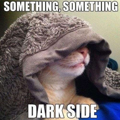 cat-star-wars-something-something-dark-side-Palpatine-13683591310.jpg