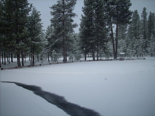 snow08001.jpg