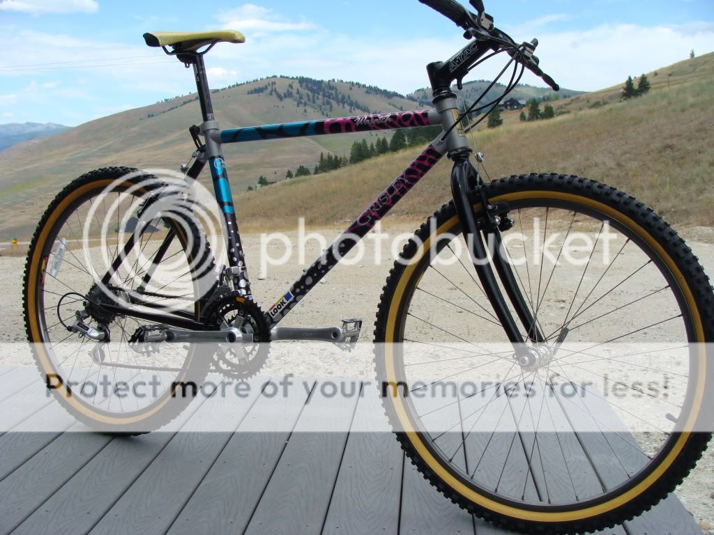 Bikes2685.jpg