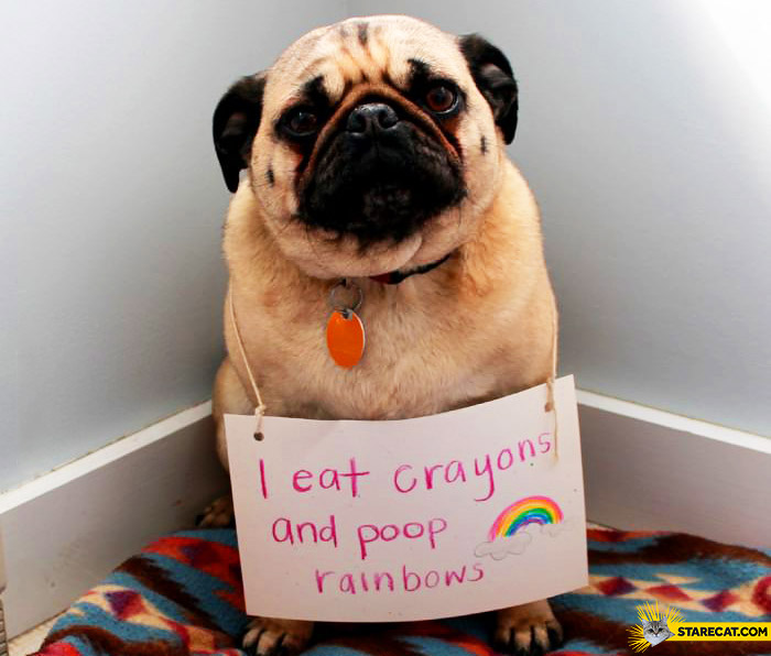 i-eat-crayons-and-poop-rainbows.jpg