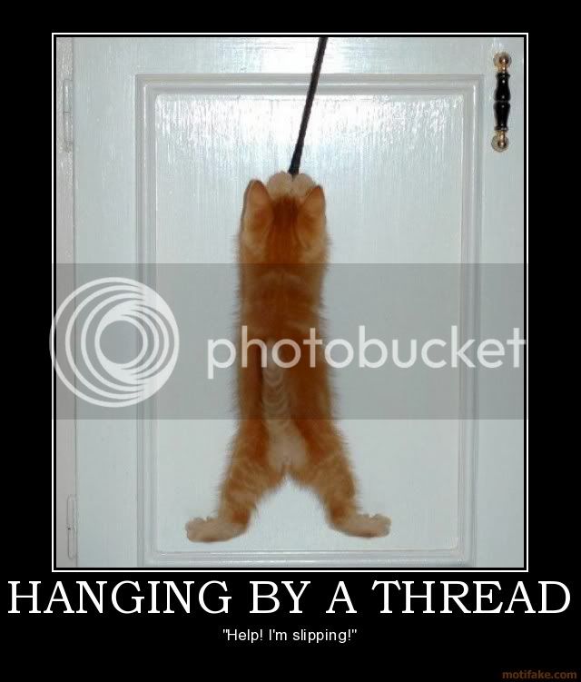 hanging-by-a-thread-kitten-demotiva.jpg