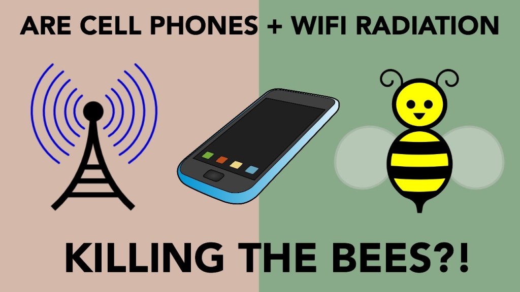 wifi-Emf-protection-radiation-anti-bees.jpg