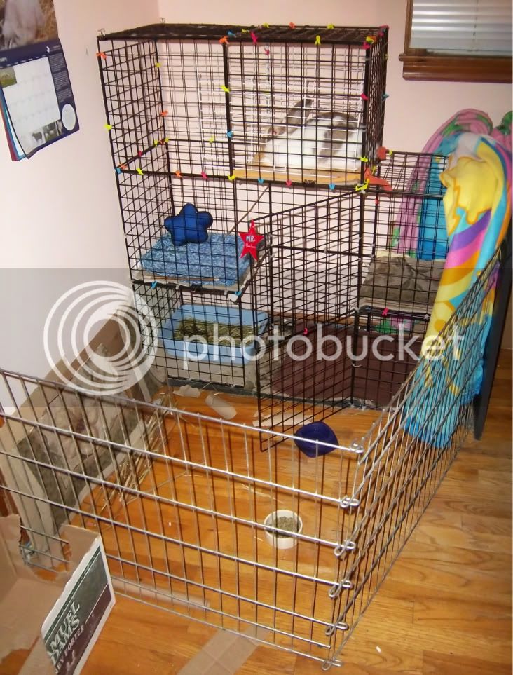 cage20112.jpg