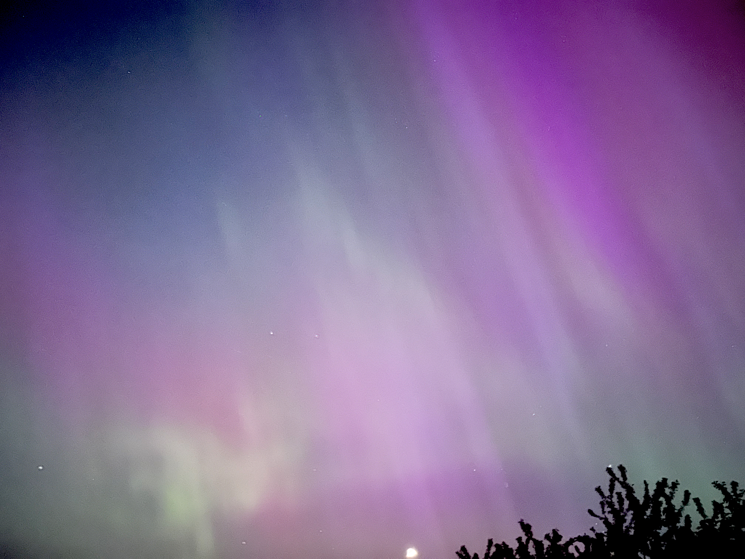 c-Roch-Auroras-6.jpg