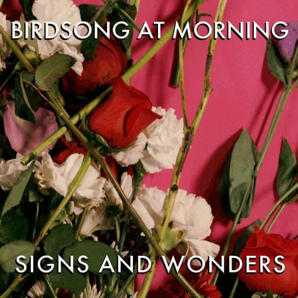 birdsong-signs-and-wonders-cover-med-res.jpg