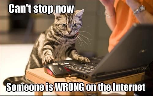 e55fe_ORIG-Can_t_stop_now_someone_is_wrong_on_the_internet_zps5138b574.jpg
