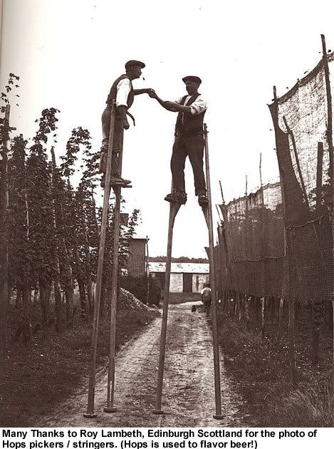 hops-pickers-on-stilts.jpg