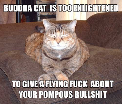 lol-cats_Buddha-Cat_zps9adc4bf2.jpg