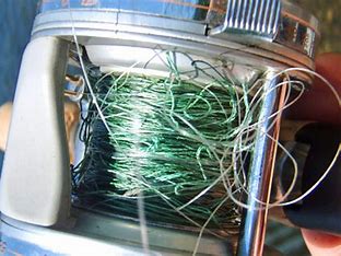 Image result for tangled fishing reel