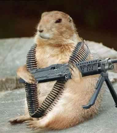 groundhog.bmp