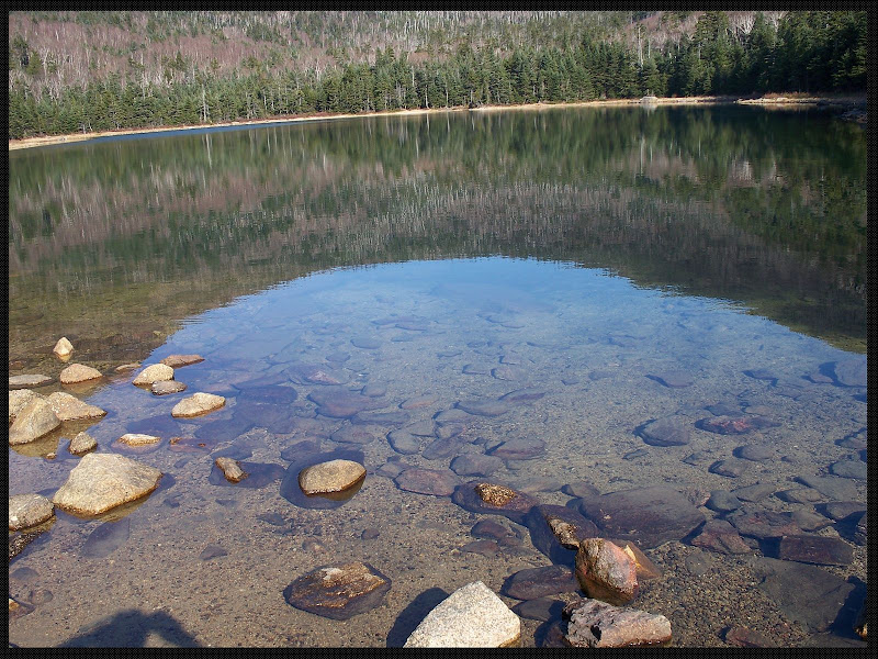 E_Pond_Reflection.JPG