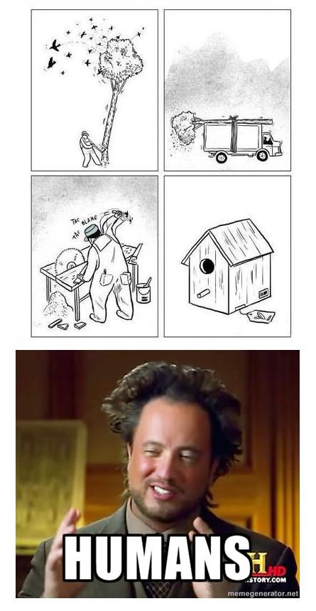 auto-tree-logging-Giorgio-Tsoukalos-345457.jpeg