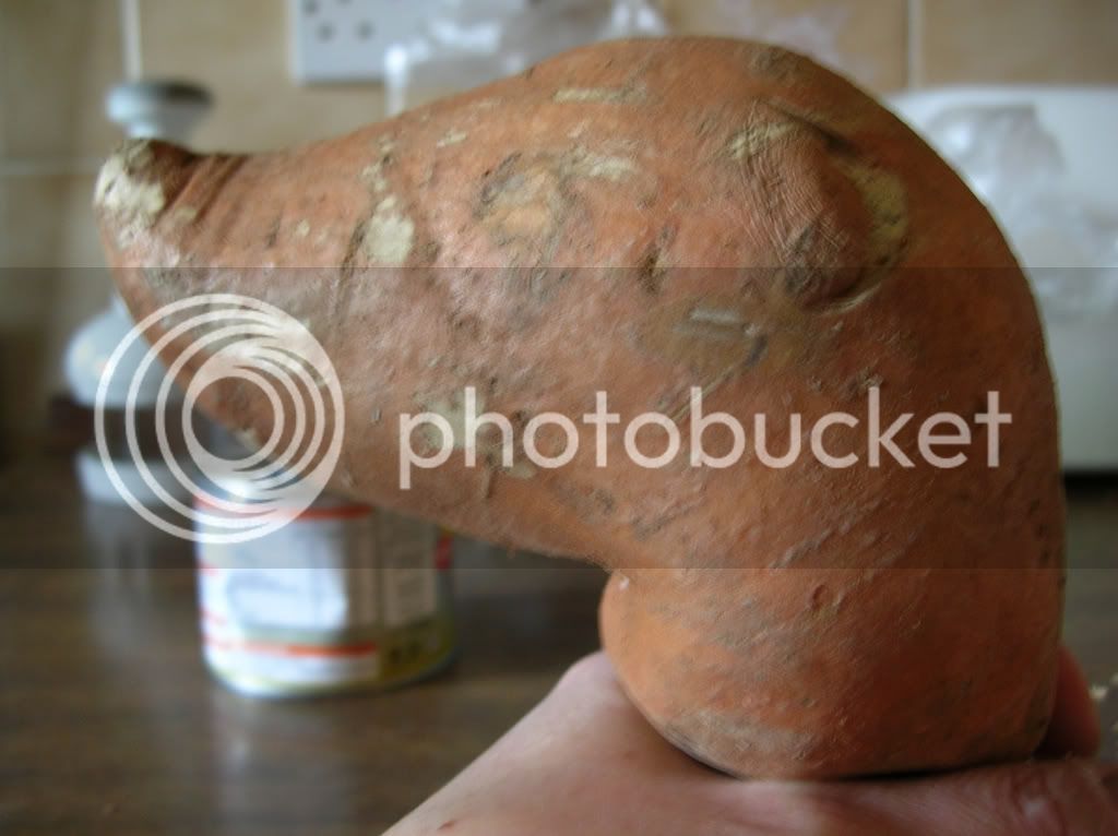 sweetpotatohead2.jpg