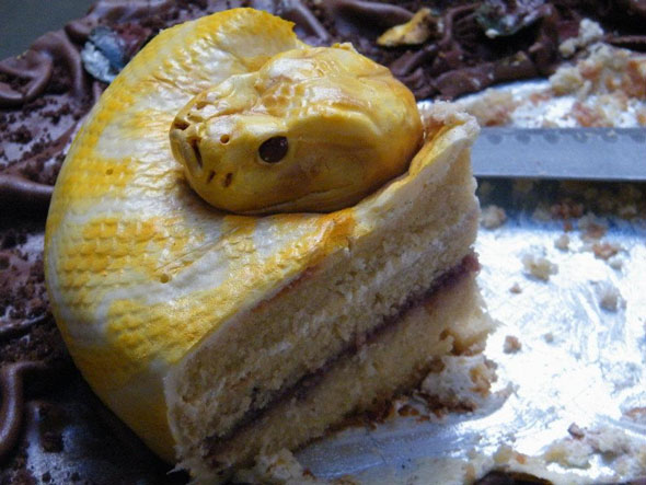 snake-cake-3.jpeg