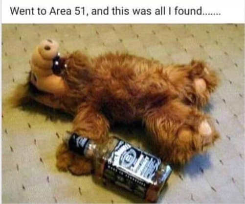 went-to-area-51-only-found-alf-passed-out-whiskey.jpg