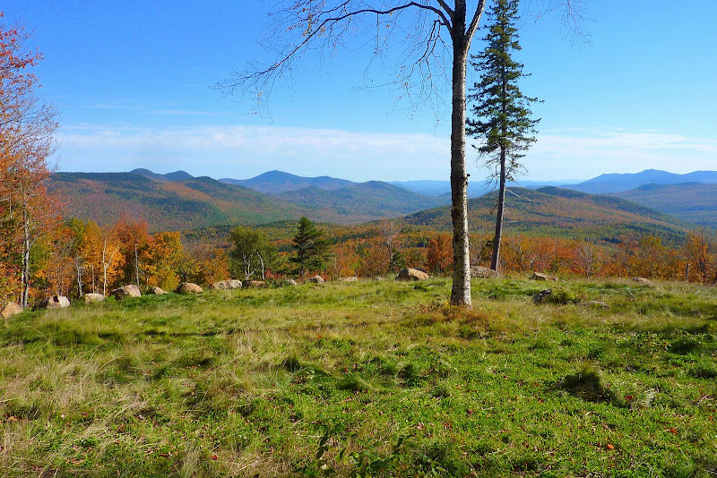 Large_Clearing_Near_HallsLedge.JPG