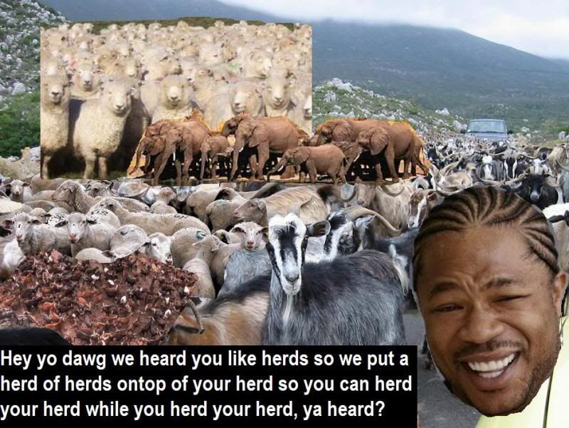 herd.jpg